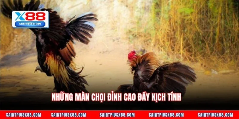 Những màn chọi đỉnh cao đầy kịch tính